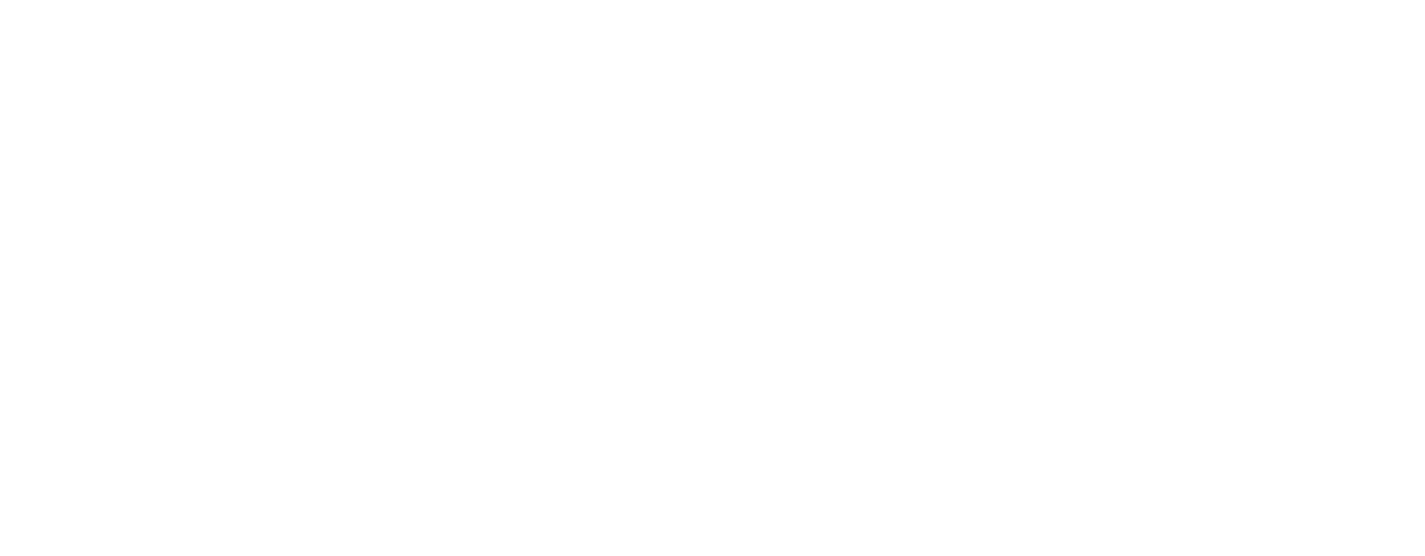 Aktive Brokers